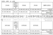 广晟有色(600259.SH)：上半年净亏损3亿元 同比转亏