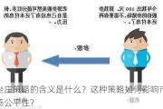 坐庄策略的含义是什么？这种策略如何影响市场公平性？