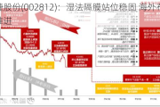 恩捷股份(002812)：湿法隔膜站位稳固 海外布局持续推进