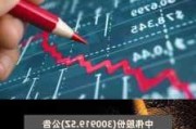 中伟股份(300919.SZ)：目前没有电厂研发的计划