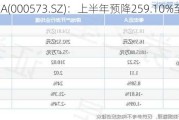 粤宏远A(000573.SZ)：上半年预降259.10%至386.39%