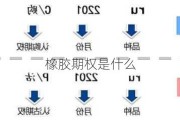 橡胶期权是什么