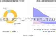 金房能源：2024年上半年净利润同比增长2.98%