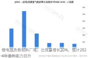 锂电池负极材料厂商：出货量增长20%，预计2024年盈利能力回升