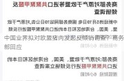 中国业界拟对欧盟猪肉发起反倾销调查？商务部回应