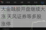 大金融股开盘继续大涨 天风证券等多股涨停