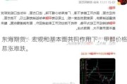 东海期货：宏观和基本面共同作用下，甲醇价格易涨难跌。