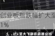 创业板指跌幅扩大至1%