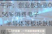 午评：创业板指涨0.56% 消费电子、半导体等板块跌幅居前