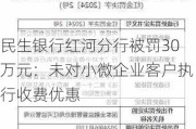 民生银行红河分行被罚30万元：未对小微企业客户执行收费优惠