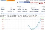 安博科-匹兹堡盘中异动 股价大跌5.62%