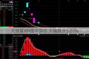 天狼星XM盘中异动 大幅跳水5.03%