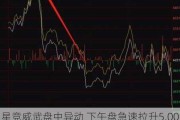 星竞威武盘中异动 下午盘急速拉升5.00%