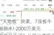 “天地板”突袭，7连板牛股跳水! 2000万美元铜产品丢了？公司火速回应！氢能板块迎多重利好（附股）