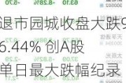 退市园城收盘大跌96.44% 创A股单日最大跌幅纪录