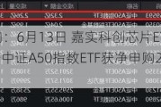 ETF资金流向：6月13日 嘉实科创芯片ETF获净申购4.62亿元 平安中证A50指数ETF获净申购2.69亿元（附图）