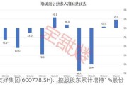 友好集团(600778.SH)：控股股东累计增持1%股份