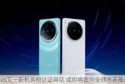 vivo又一新机亮相认证网站 或即将面向全球市场推出