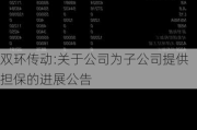 双环传动:关于公司为子公司提供担保的进展公告