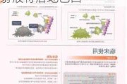 迈威生物与CRISTáLIA达成战略合作 地舒单抗注射液将落地巴西