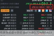 有家保险盘中异动 股价大跌5.72%报0.623美元