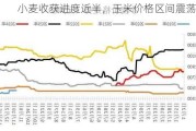 小麦收获进度近半，玉米价格区间震荡偏弱