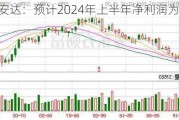 国安达：预计2024年上半年净利润为90万元