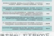 腾龙股份：拟不超600万欧元在摩洛哥设立全资孙公司