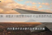 花旗：调整多只航空股目标价 行业首选仍为达美航空