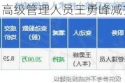 东软集团高级管理人员王勇峰减持20万股