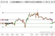 骏亚科技（603386）：7月15日13时36分触及涨停板