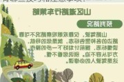 如何在山路中安全驾驶？山路驾驶有哪些技巧和注意事项？