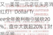 又一美国一元店巨头亮消费红灯！Dollar Tree全年盈利指引猛砍20%，盘中大跌超20%｜财报见闻