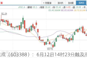 ST元成（603388）：6月12日14时23分触及涨停板