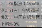 港股午评：恒指涨0.49%恒生科指涨0.61%！金银铜板块集体爆发，中国白银集团飙涨50%，小鹏涨8%