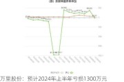 万里股份：预计2024年上半年亏损1300万元