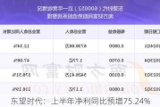 东望时代：上半年净利同比预增75.24%