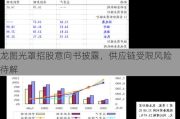 龙图光罩招股意向书披露，供应链受限风险待解