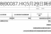 太古股份公司B(00087.HK)5月29日耗资206万港元回购19.5万股