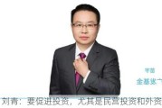 刘青：要促进投资，尤其是民营投资和外资投资