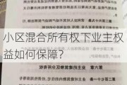 小区混合所有权下业主权益如何保障？