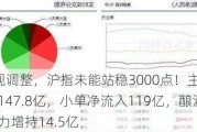 A股再现调整，沪指未能站稳3000点！主力资金共流出147.8亿，小单净流入119亿，酿酒行业获主力增持14.5亿