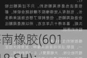 海南橡胶(601118.SH)：合盛农业拟向海垦新加坡借款6400万美元