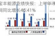 宝丰能源业绩快报：上半年净利润同比增长46.41%