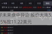 好未来盘中异动 股价大涨5.15%报11.22美元