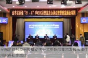 金融监管总局积极推动国有大型保险集团发挥头雁作用取得初步成效