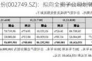 国光股份(002749.SZ)：拟向全资子公司划转资产