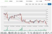 斯特姆-鲁格盘中异动 下午盘股价大跌5.03%报41.16美元