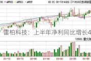 雷柏科技：上半年净利同比增长4.08%