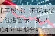 兆丰股份：未按承诺分红遭警示，拟 2024 年中期分红